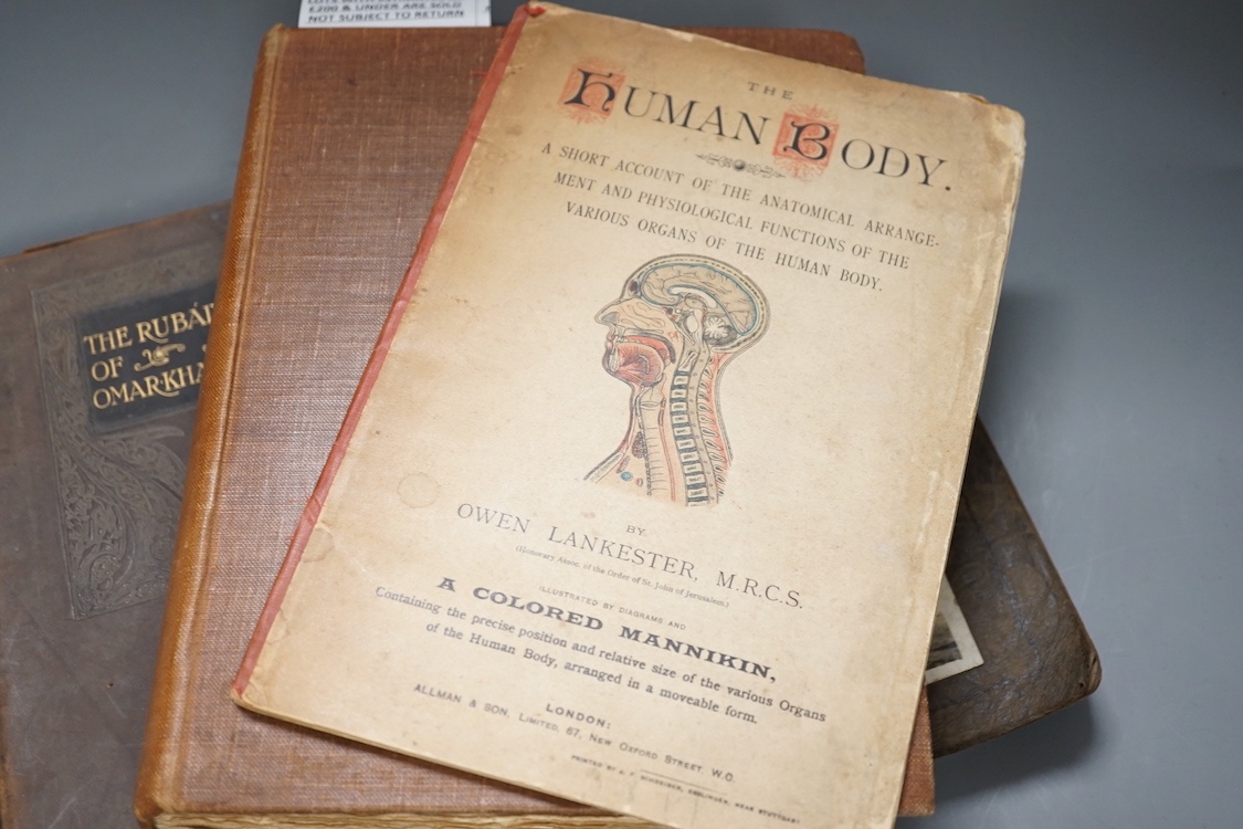 A coloured Mannikin Human Bodybook, Seven Pillars of Wisdom, Omarkhayam, 1930's International Horse & Hound Show and Venice, A Sketch Book by Fred Richards (5)